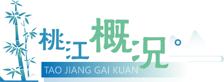 桃江概况
