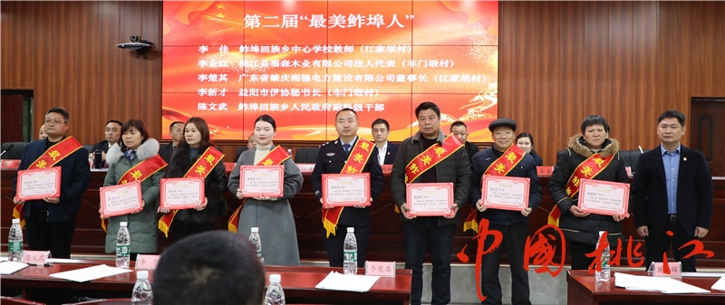 桃江鲊埠人口_桃江竹海图片