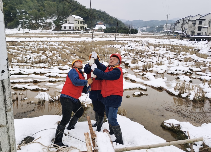 2月9日,国网桃江县供电公司员工在10千伏鸬沾线山台村支线开展抢修工作。(王梦中摄)