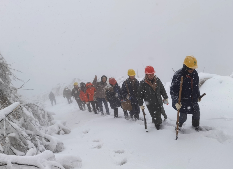 2月2日,国网桃江县供电公司员工冒雪为110千伏子桃县更换架空地线。图为供电员工在山中行走。(胡跃明摄)