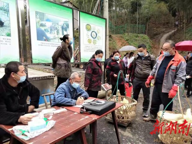 竹业小镇马迹塘迎“丰收的春天”