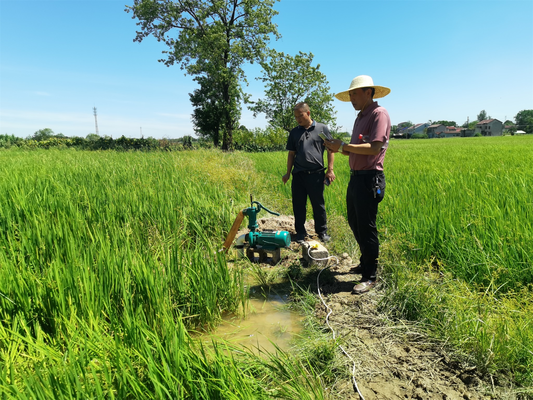 架设水泵浇灌农田.jpg 架设水泵浇灌农田.jpg
