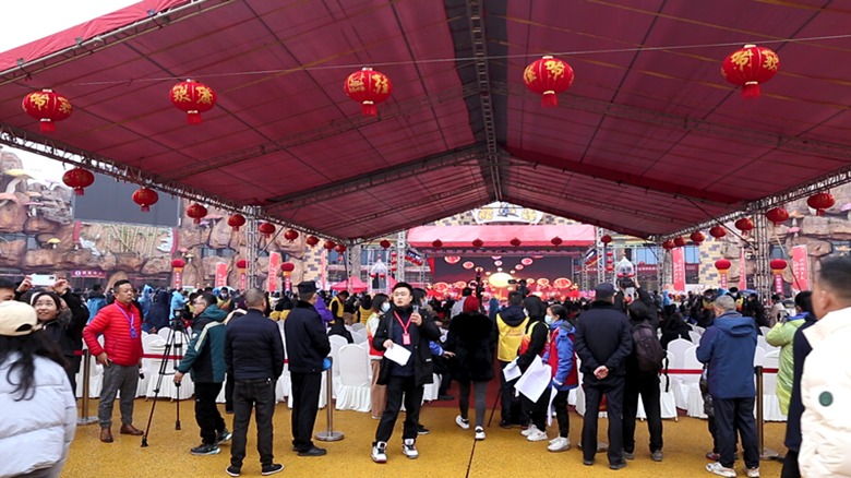 桃江县首届消费购物节 农品直播 美食盛宴 幸福满满