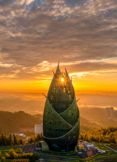 桃花江竹海景区