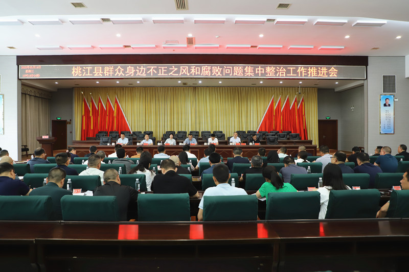 桃江：纵深推进群众身边不正之风和腐败问题集中整治