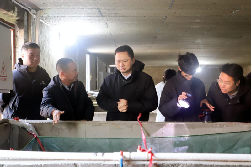 �ܵǸߵ�մϪ�����