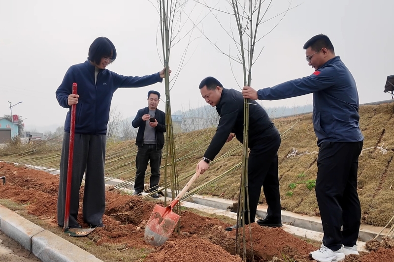 �ܵǸ������μ�����ֲ���