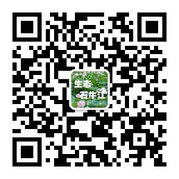 ��̬ʯţ�������ںţ�