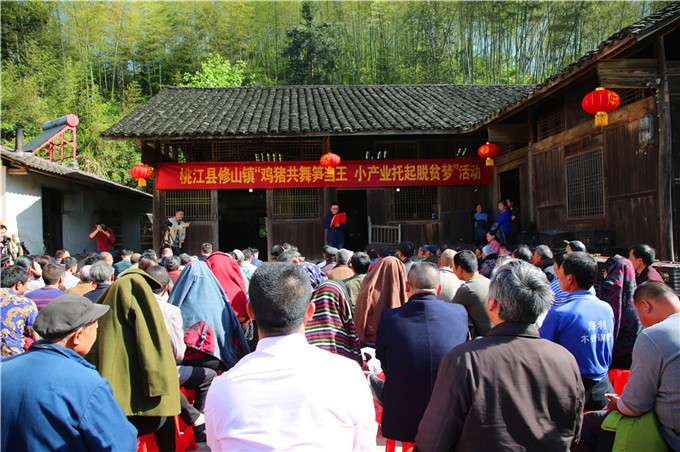 鸡猪共舞笋当王 修山小产业托起脱贫梦 (3)