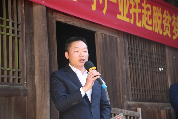 鸡猪共舞笋当王 修山小产业托起脱贫梦 (4)