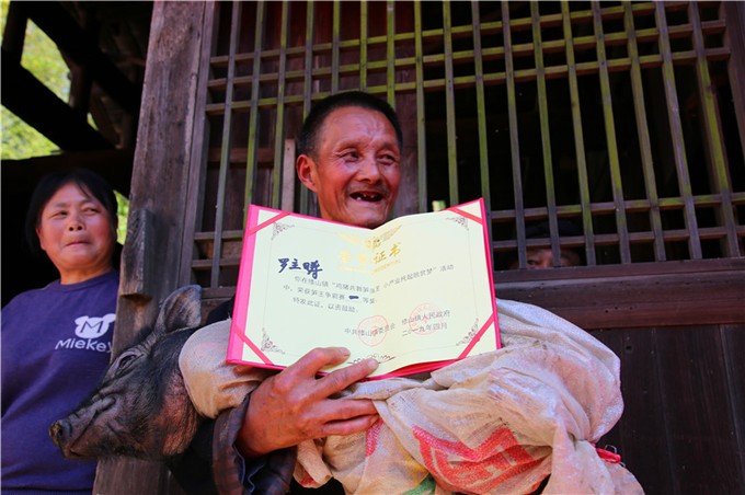 鸡猪共舞笋当王 修山小产业托起脱贫梦 (9)