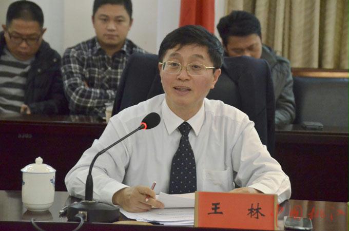 中南大学教授王林打造桃江美人窝文化主题公园方案