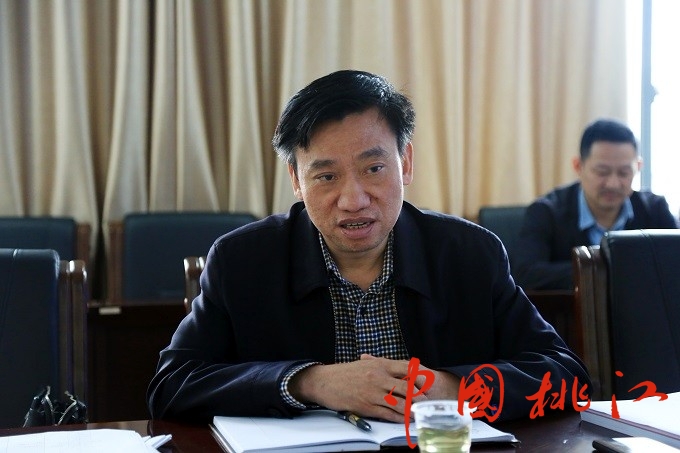 肖立新调度智慧桃江ppp项目建设