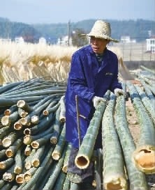 “食”在桃江分外香 (5)