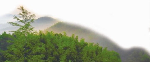 “食”在桃江分外香 (1)