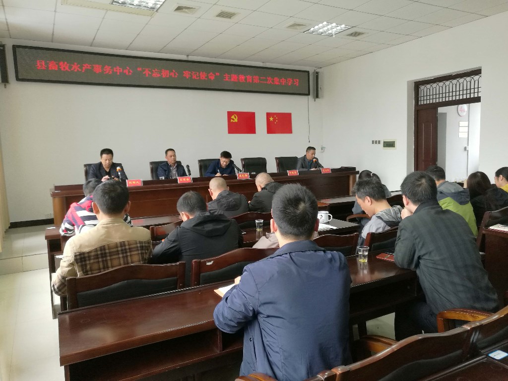 20191025主题党日1